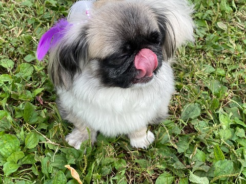 7E0EA45F-D86D-4935-8D8F-9EFC3019FC19