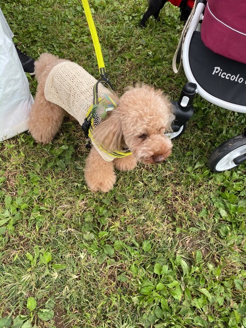 50CC5127-0812-409A-8A23-93E5BA3CA0FA