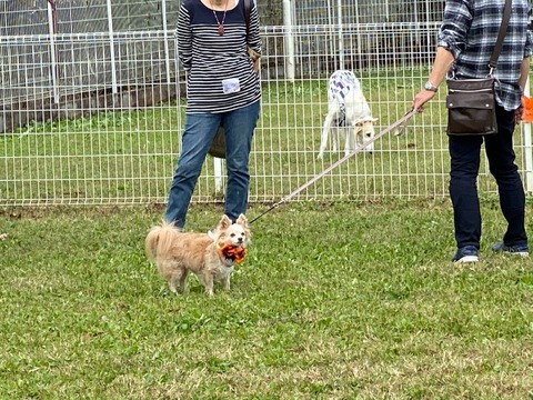 4183DFAA-6433-4007-9A97-56F0693ECAF7