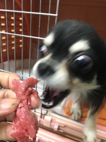 beadadd0.jpg