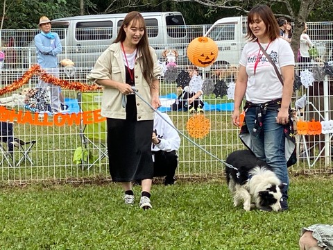 A0FCB9F0-63EB-4233-B35E-42B954DCA6C2