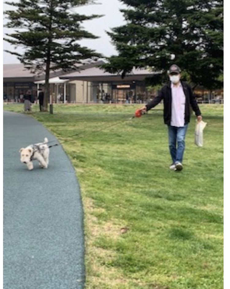 Boaちゃんお誕生日おめでとう Npo法人ペット里親会