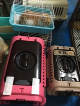 c94f930b.jpg