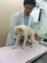 c9b83d67.jpg