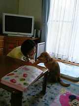 cb062492.JPG