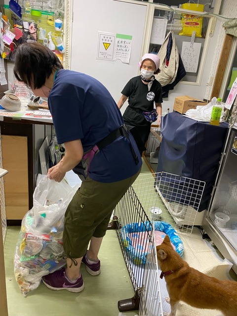 2BAEADE0-2075-4CA0-942F-4F62AE4AB5FB