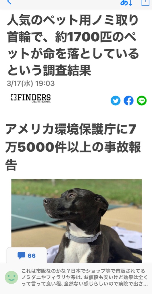 危険なノミ取り首輪 Npo法人ペット里親会 危険なノミ取り首輪 Npo法人ペット里親会
