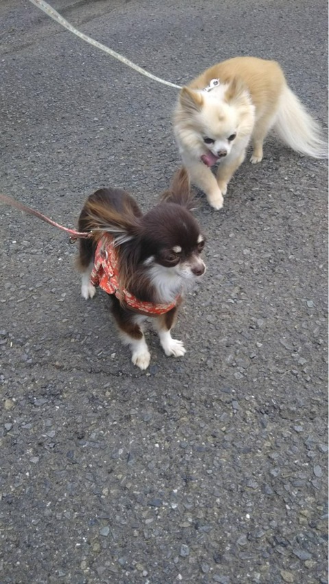 IMG_9597