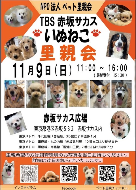 秋の赤坂サカスが決定いたしました🍊 : NPO法人ペット里親会