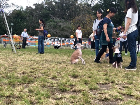 57CB046C-1B2A-452D-B4BA-E8287EBED8AC