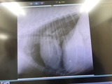 e24703e7.jpg