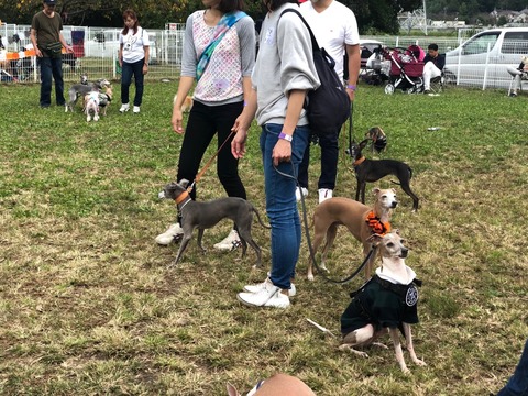 19E9589F-BFB8-4610-819F-466C92C1C3C4