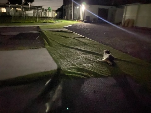 DE0F829E-0952-460B-934C-571F9BA6039B