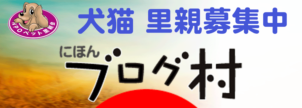 にほんブログ村 犬ブログ 犬 里親募集へ