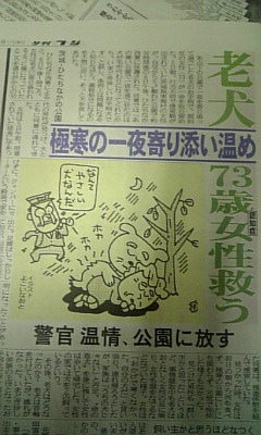 ひたちなか市の犬 Npo法人ペット里親会