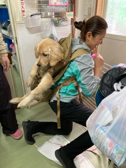 IMG_9204