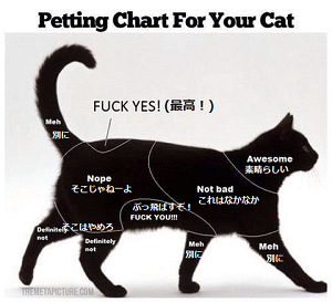 東方 お燐ちゃん 東方おねえちゃんまとめ