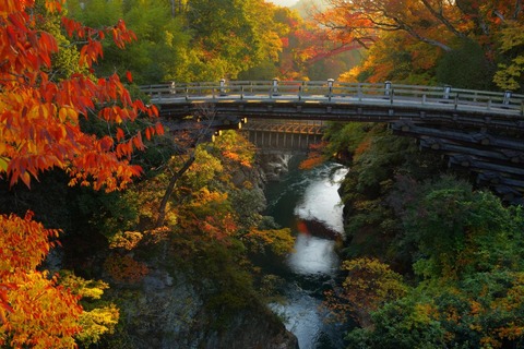 BD3A651E-73E7-4F59-9783-02C76C8F2F55