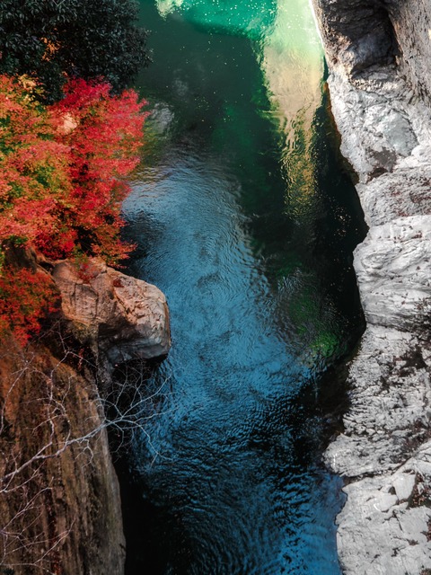 3304A2D8-5BE9-4343-9D9E-5D55493A5F79