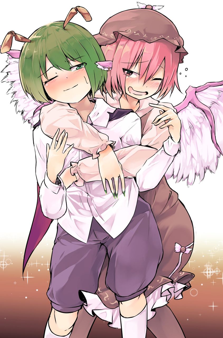 東方 リグルとミスティアの関係はいつになったら進展するのか 東方おねえちゃんまとめ 東方 リグルとミスティアの関係はいつになったら進展するのか 東方おねえちゃんまとめ