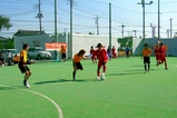 8c54f653.jpg