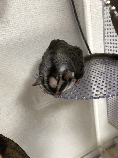 F8382479-2253-481E-9843-58323DCD59FA