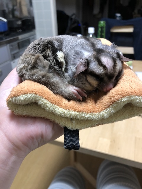 CCFD6136-F758-45CD-B358-CB01A2806B25