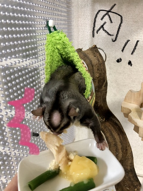 336ABE6C-D47A-4748-BD05-0F88A3675ABB