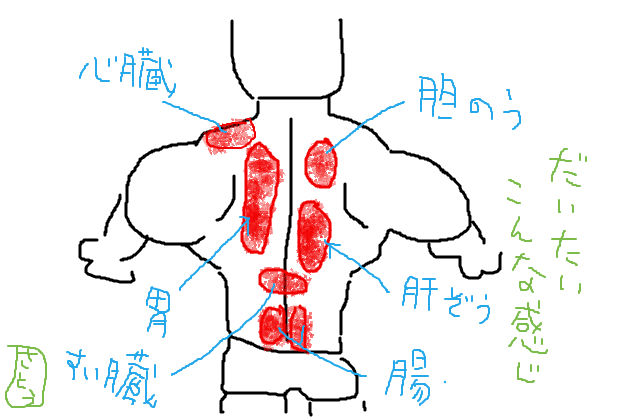 食べ 過ぎ 背中 痛い