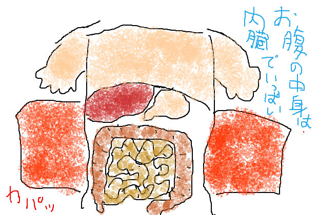 思わぬ原因からの腰痛 便秘 飲み過ぎ 食べ過ぎ アルコール 内臓からくる腰痛 お腹の中身は アラフォー整体師の七転八起 In吹田市岸辺re Bone