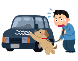 pet_inu_car_kizu