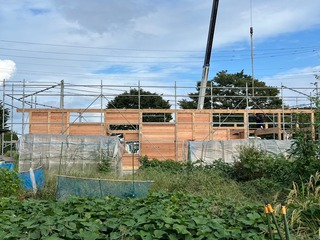 LINE_ALBUM_2024.8〜キッチンフィールド_241004_63