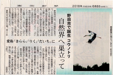 2018.6.8東京新聞ｺｳﾉﾄﾘ