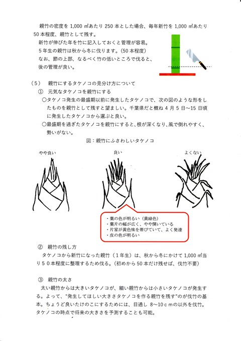 ﾀｹﾉｺを採るための竹林整備3