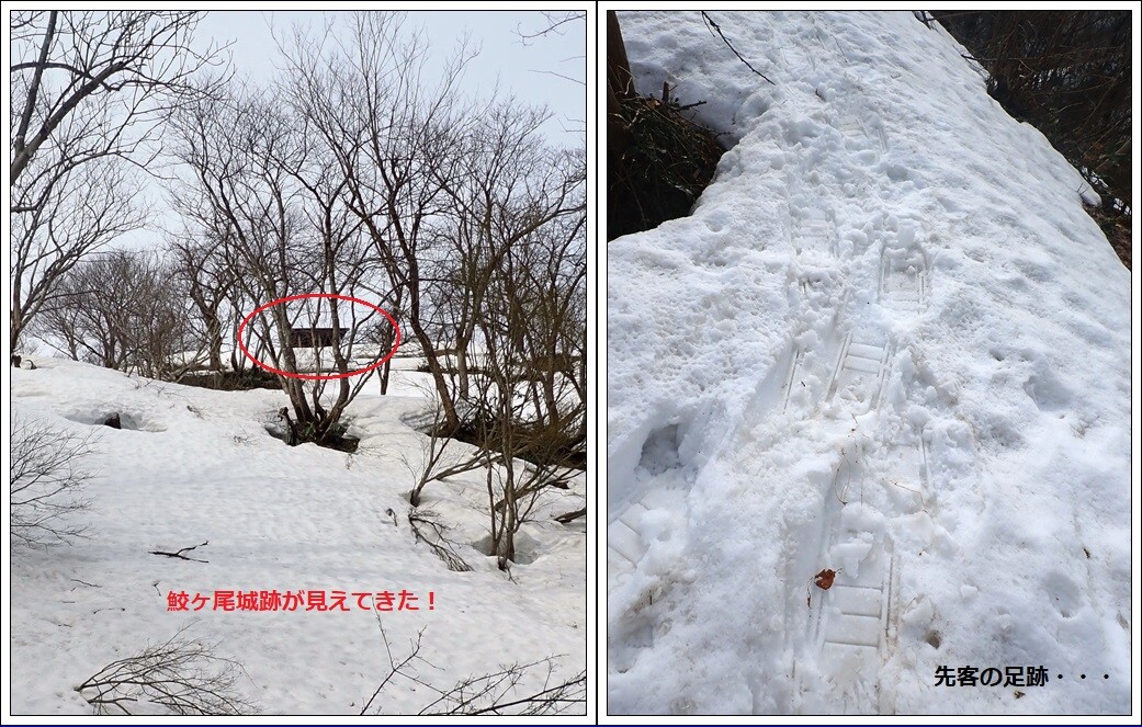 0900見えた＆足跡