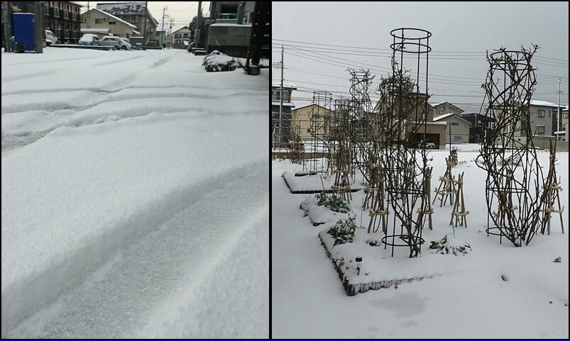 家前雪＆庭