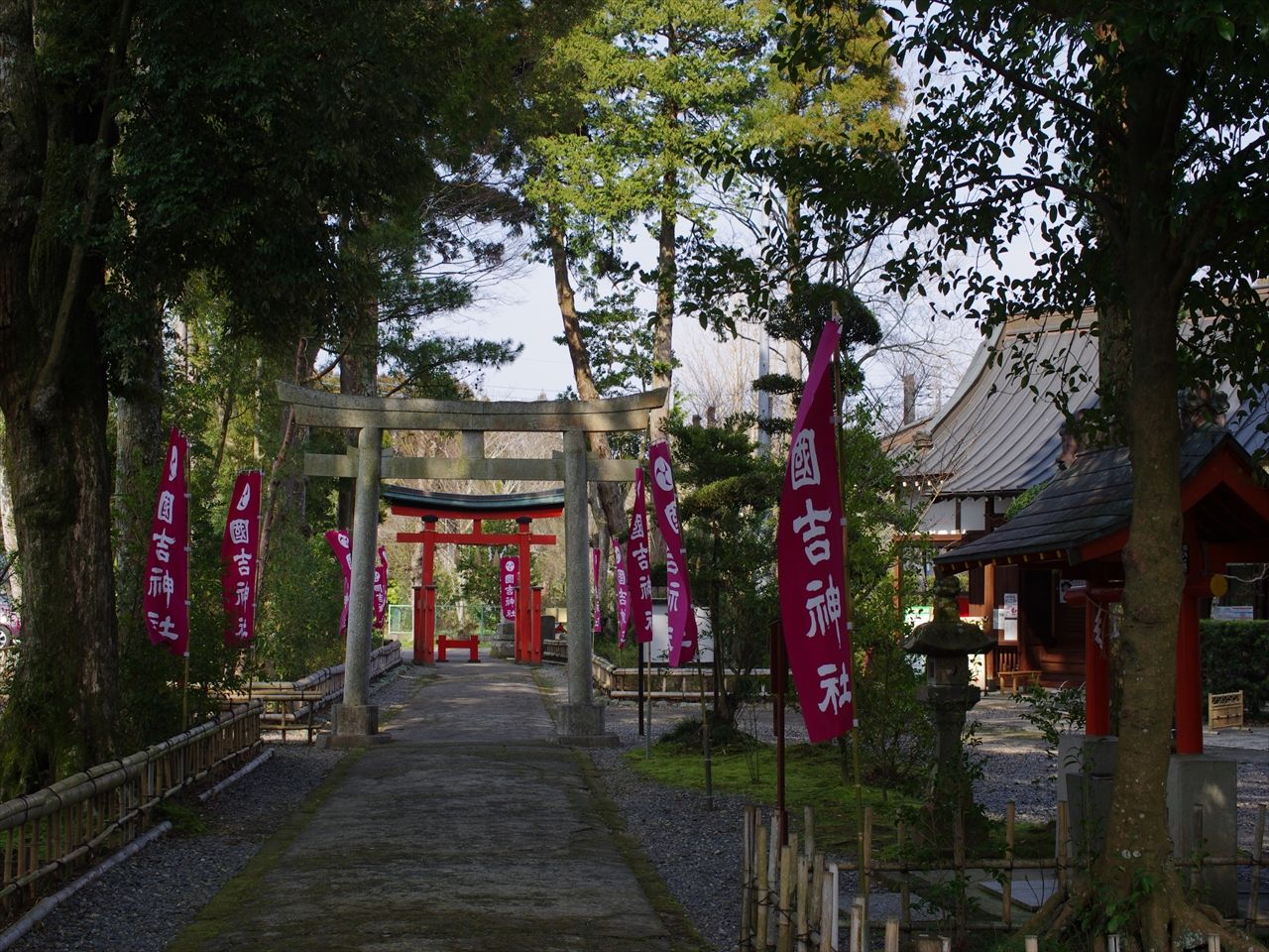 国吉神社 大イチョウ 里山里海だより