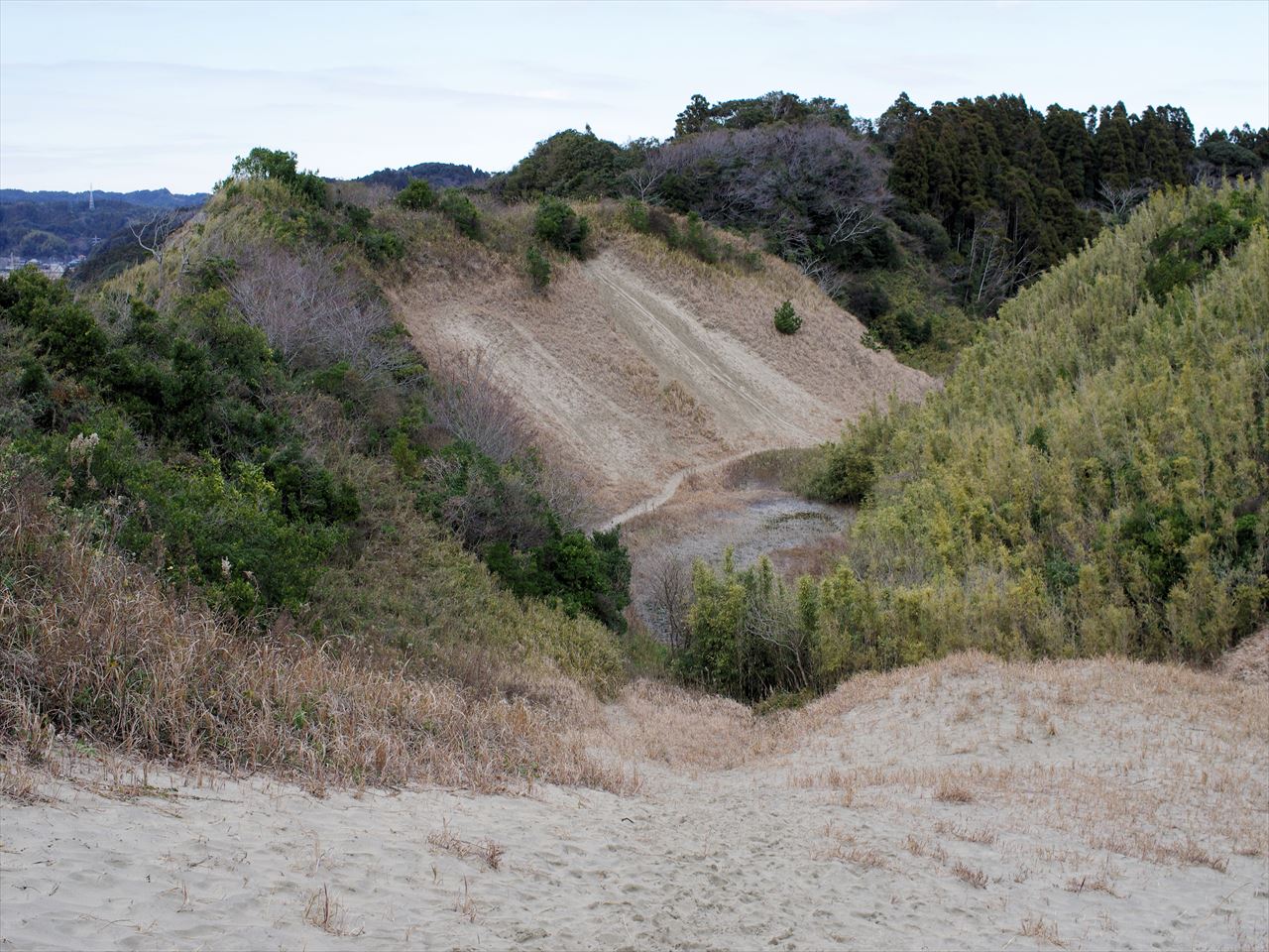 御宿 サンドスキー場を周遊する 里山里海だより