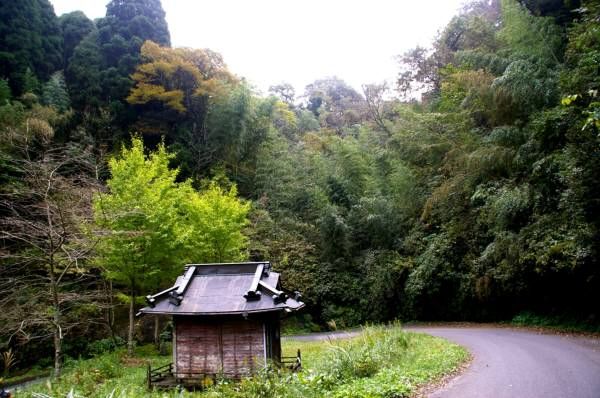 09年10月31日 里山里海だより