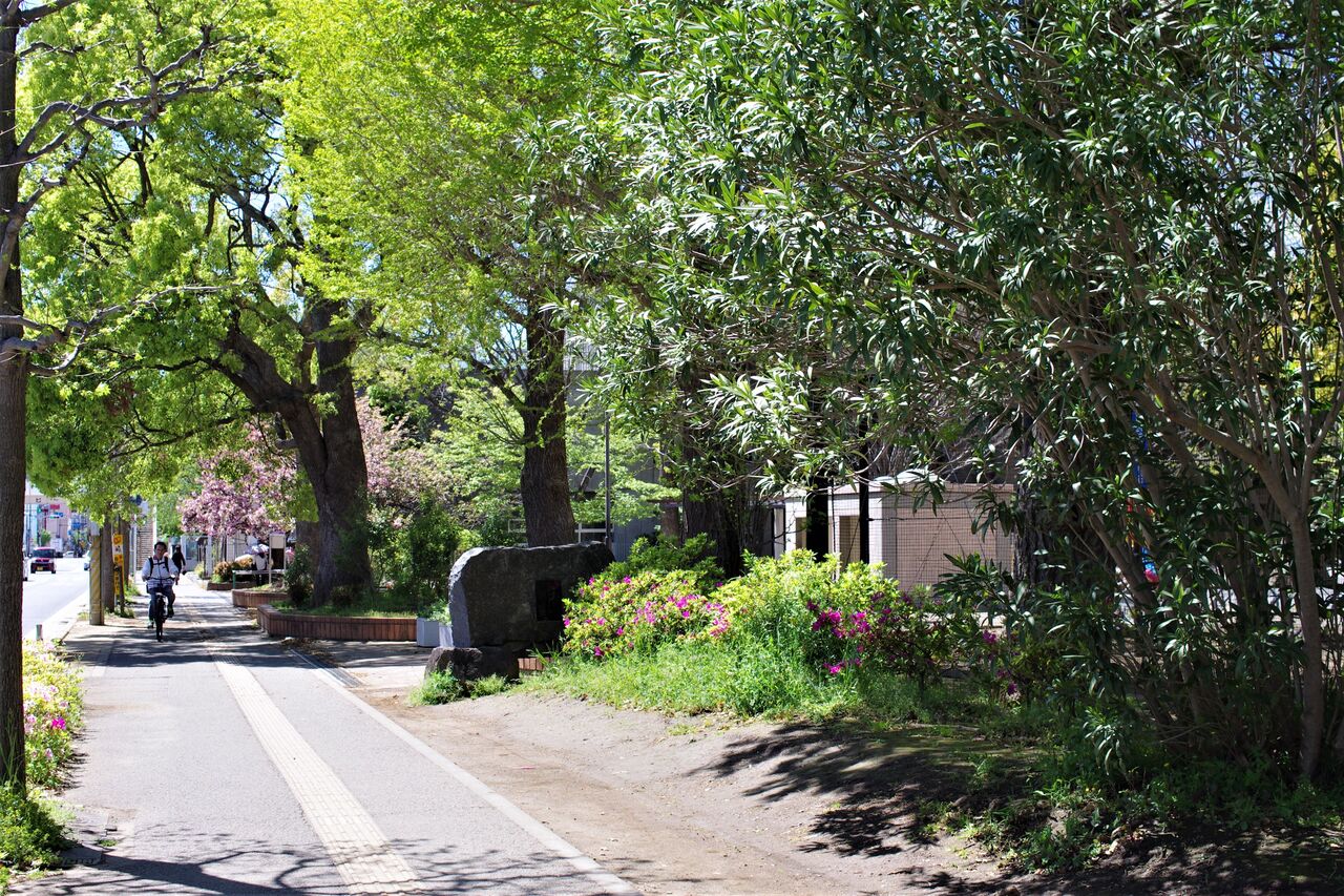稲毛や小仲台の歴史が分かる 里山里海だより