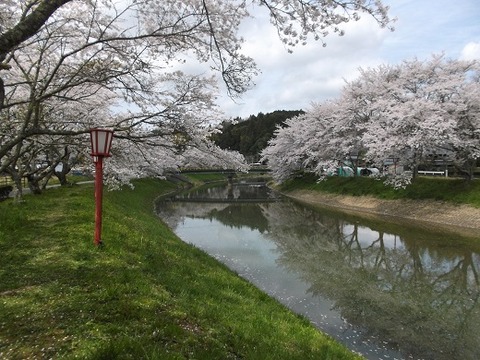 037-520