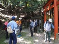 043-520加