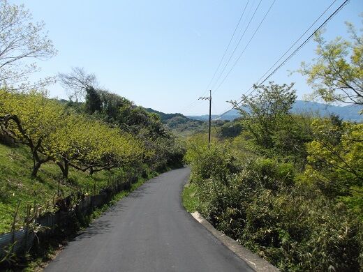 飛鳥 上居 じょうご を歩く 奈良のさとやまを歩く 多武峰から高取山