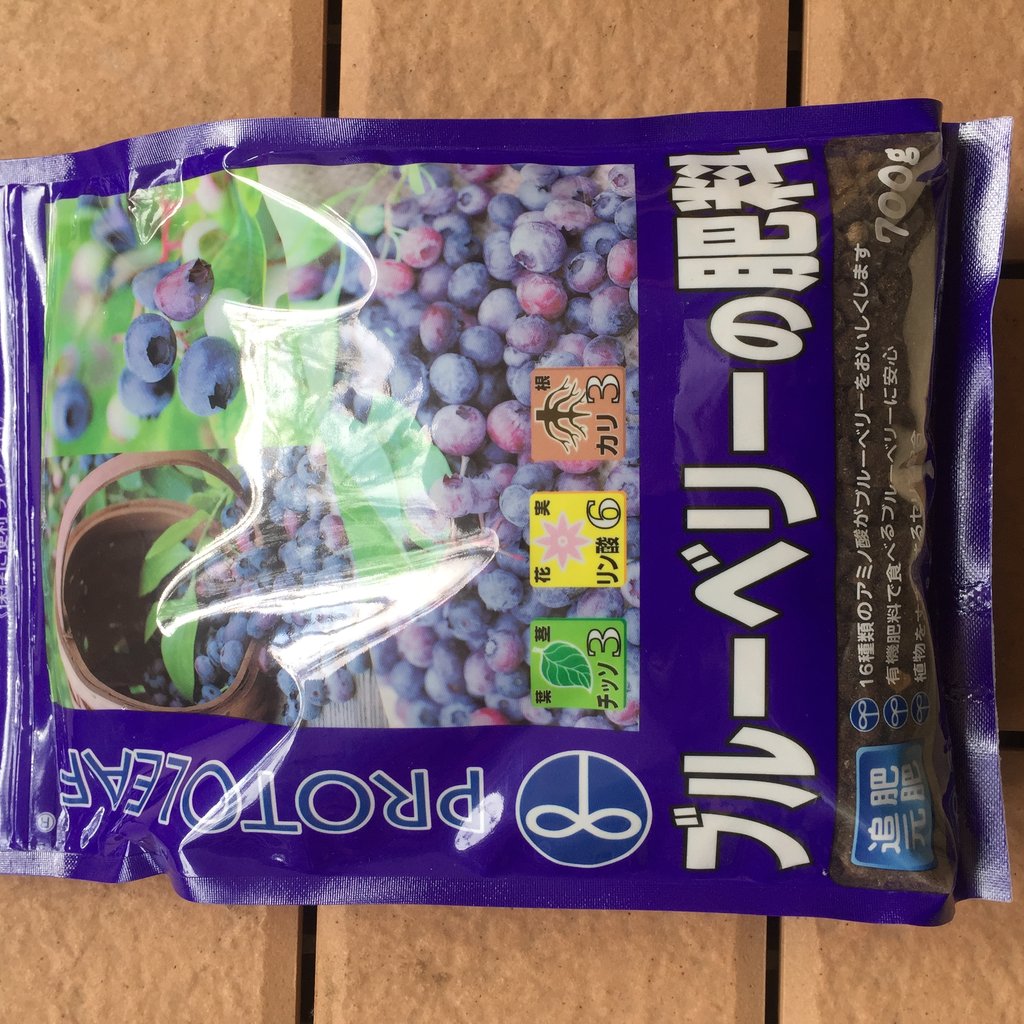 ブルーベリーの人工授粉 Satoyanのうちごはん