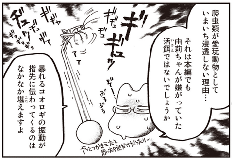 p41