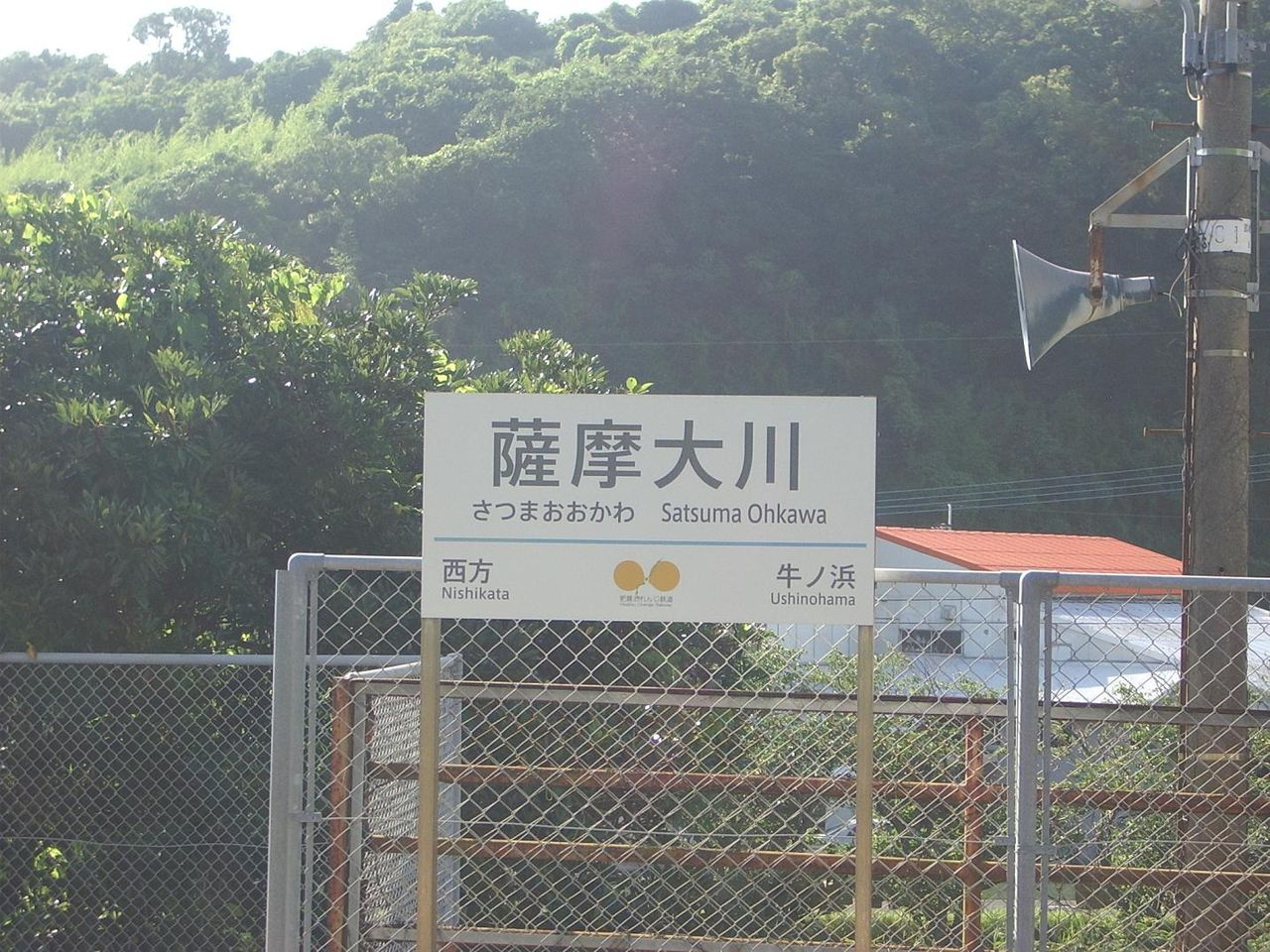 イメージ 6