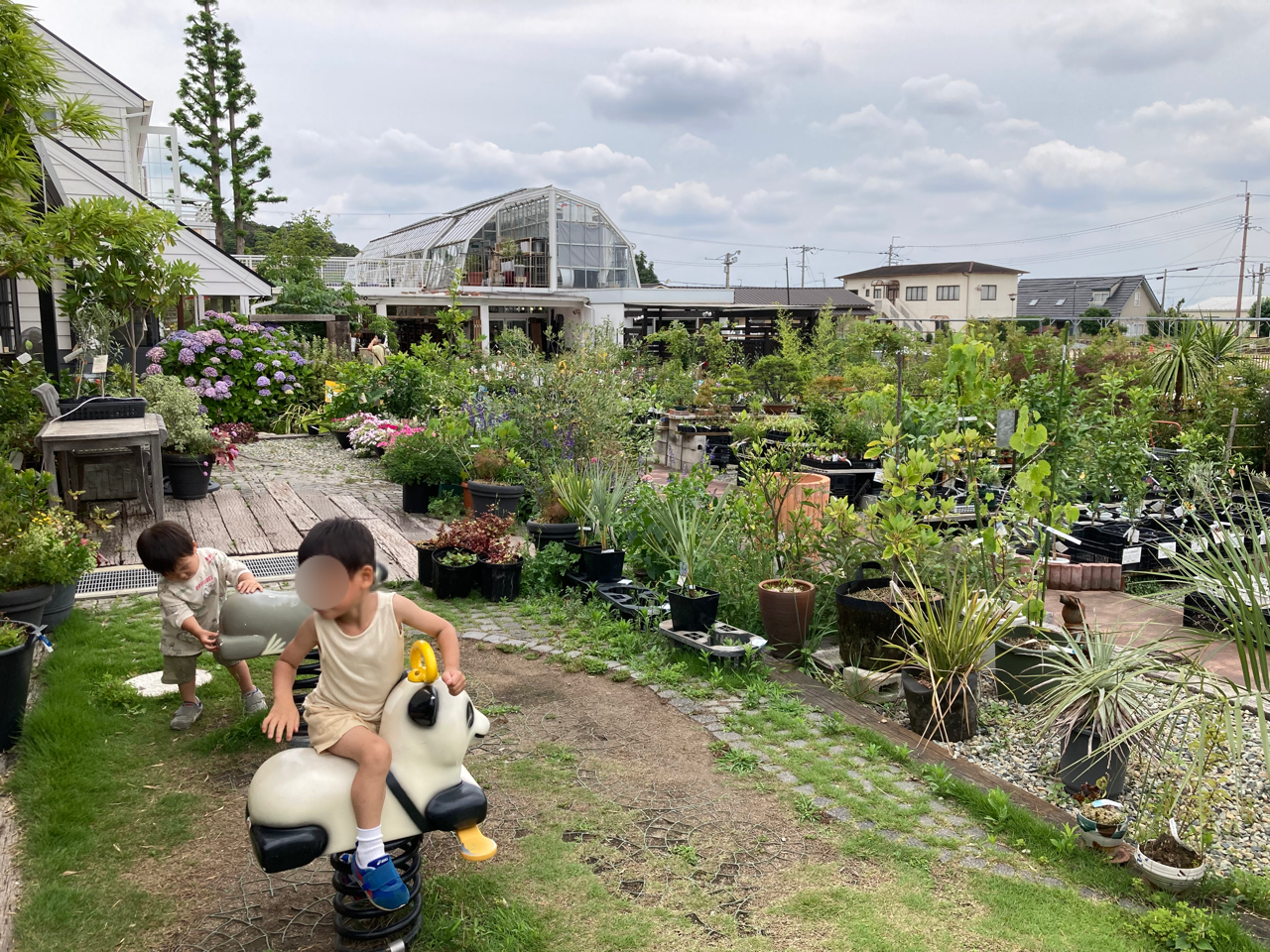 宝塚 園芸店 陽春園 北摂で自然育児ができるショップ 施設