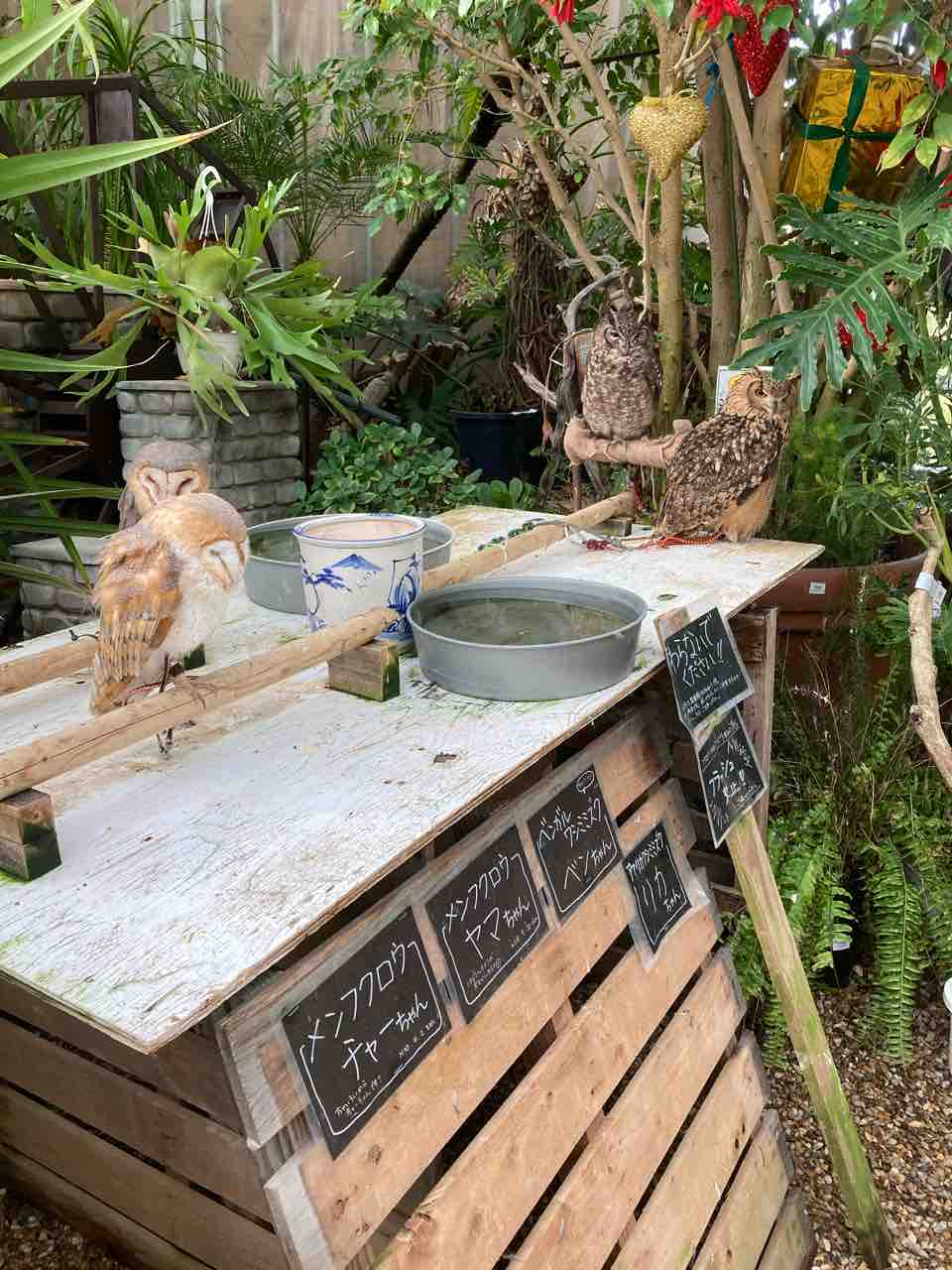 家庭菜園に 茨木 ザ ファーム ユニバーサル大阪 北摂で自然育児ができるショップ 施設 家庭菜園に 茨木 ザ ファーム ユニバーサル大阪 北摂で自然育児ができるショップ 施設