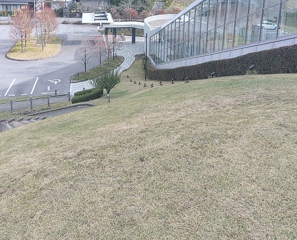 IMG_2023-11-15-13-56-01-882~2