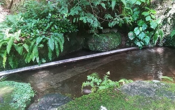 img-20180714-090302-largejpg~2